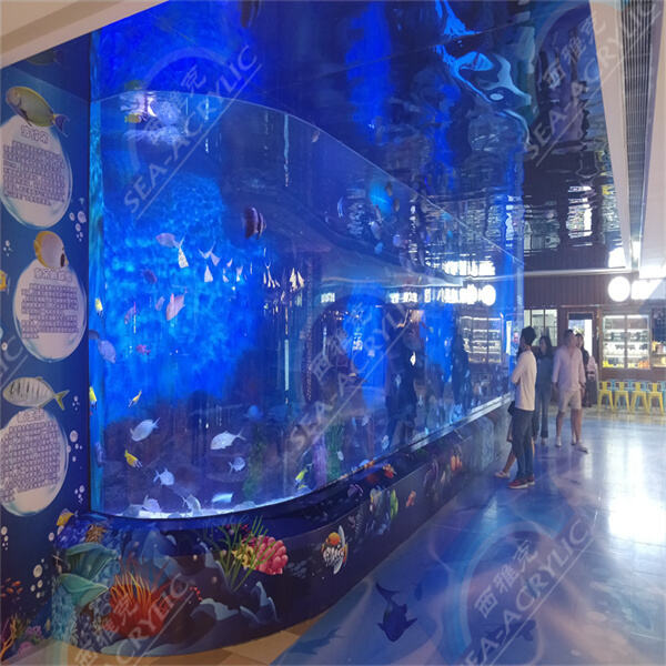Easy maintenance and long-lasting quality with an acrylic fish tank aquarium.