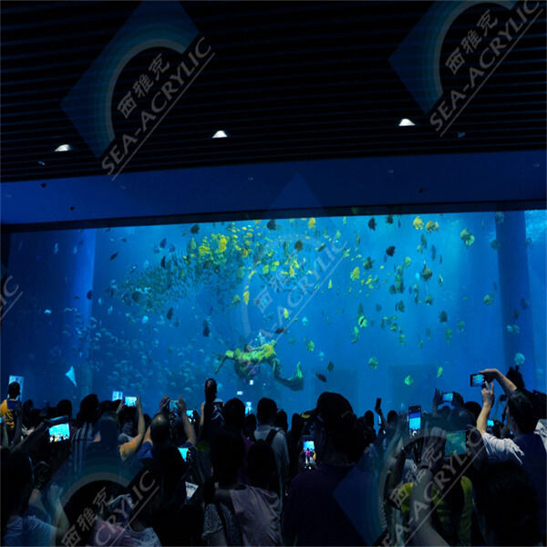 راقب سباحة سلحفاتك ولعبها في حوض أكريليك شفاف تمامًا