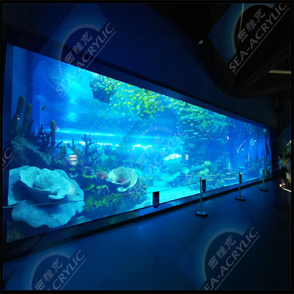 Keeping Your Acrylic Fish Tank Panel Pristine