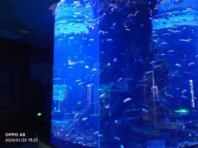 Indywidualne akwaria akrylowe wykorzystują analizę metodą elementów skończonych do przewidywania granic ugięcia