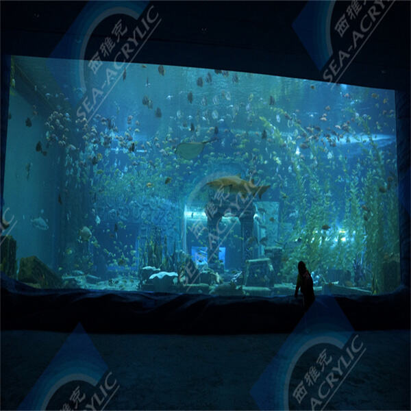 豪華なプールのすべての利点を、DIYアクリルプールで手頃な価格で体験できます