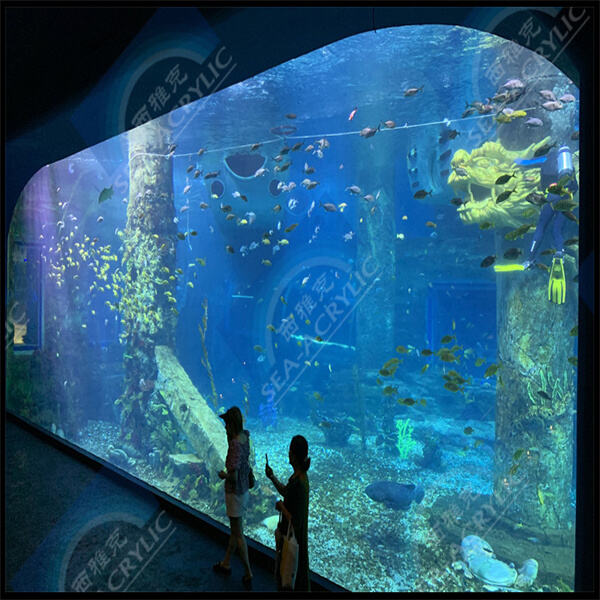 How to Properly Care for and Maintain Acrylic Panels for Longevity?