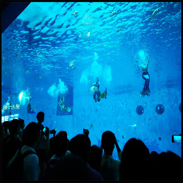 Understanding the Importance of Water Quality for Aquarium Fish