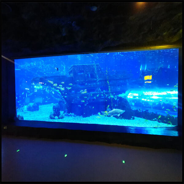 The Benefits of Choosing a Large Acrylic Aquarium Custom Made