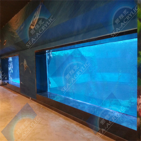 Amélioration de la sécurité avec une clôture de piscine en plexiglas