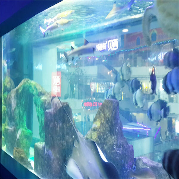 Fluval Edge 6-Gallon Aquarium - A modern marvel with a striking 3D cube design.