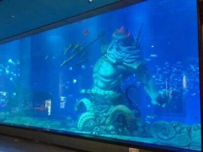 Codices structurales formam aquariums acrylicorum ad mensuram constituunt