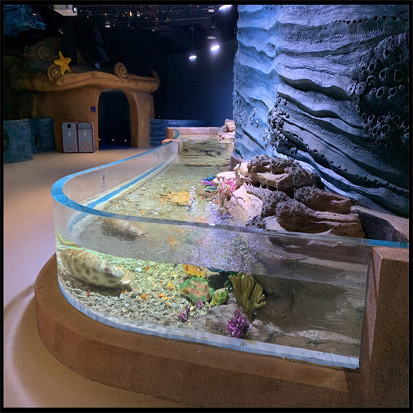 Bring a slice of ocean life into your home with an acrylic cylinder aquarium.