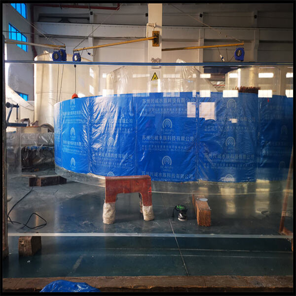 Upgrade Your Pool's Look and Functionality with Custom Acrylic