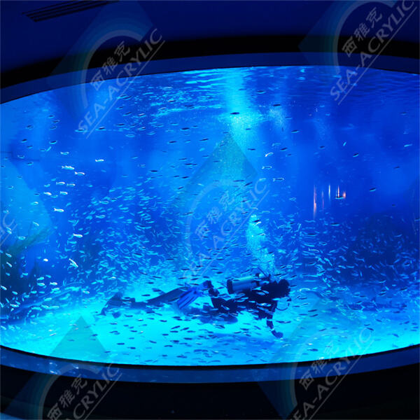 The ultimate guide to maintaining a healthy aquarium tank