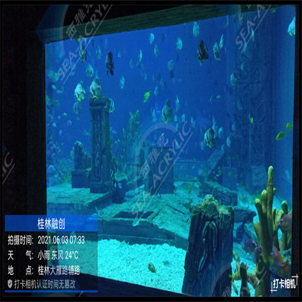 Importance d'une maintenance appropriée pour un aquarium prospère