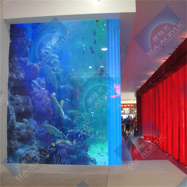 Keep your aquarium looking pristine with a durable and easy-to-clean acrylic tank.