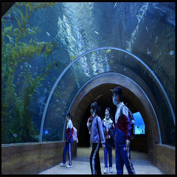 Comment nettoyer et entretenir correctement votre aquarium à poissons en acrylique