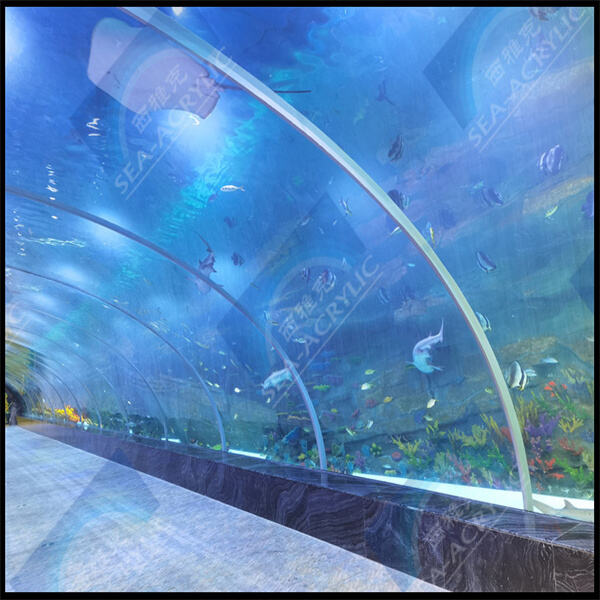 Piscine en acrylique DIY - Économisez énormément sur vos dépenses