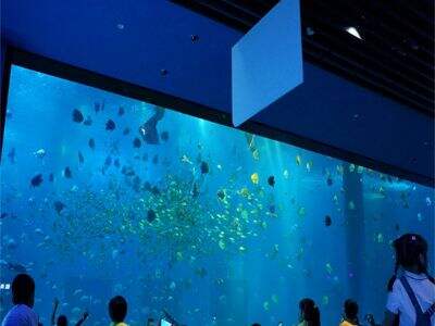 Silindirik Akrilik Tanklar Neden Tuzlu Su Akvaryumları İçin Su Akışını Optimize Eder