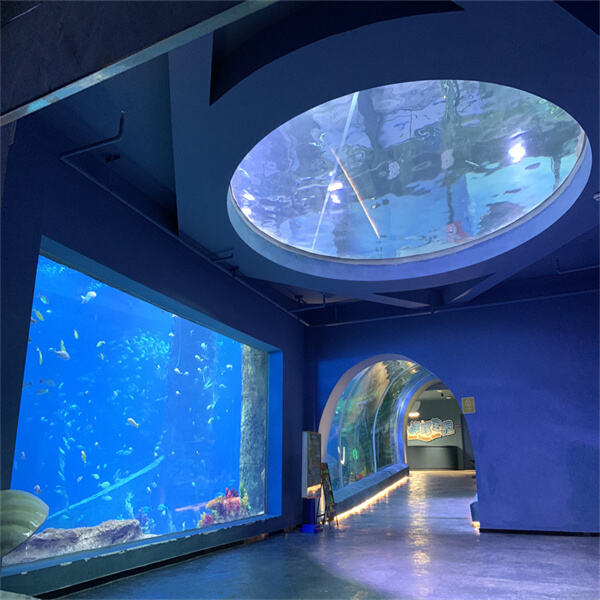 Plexiglas Zäune für moderne und sichere Pools