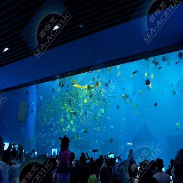 Create a serene and eye-catching focal point in your living room with an acrylic oval coffee table fish aquarium.