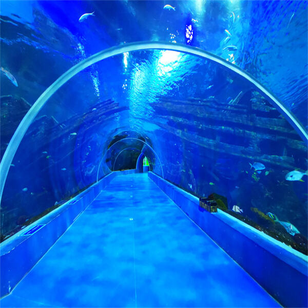 Keep your aquarium looking pristine with the simple maintenance of acrylic cylinder tanks.