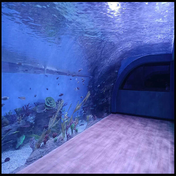Mantén tu acuario limpio y saludable con un sifón de acrílico