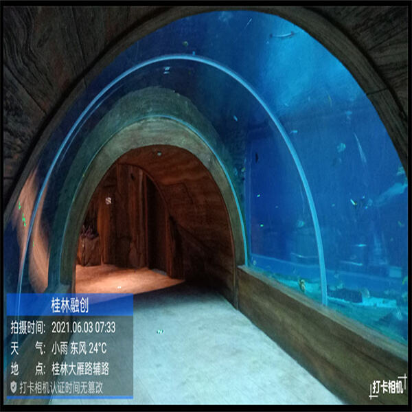 The Beauty and Durability of Acrylic Fish Tanks