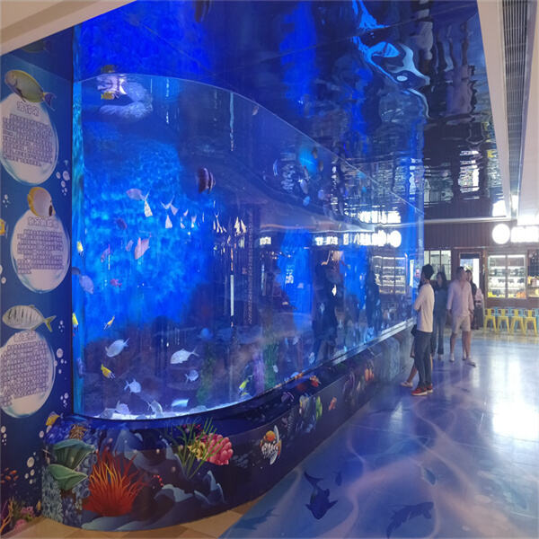 How Transparent Plexiglass Can Be Utilized in Visual Merchandising