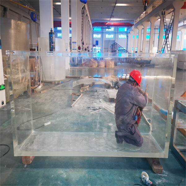 Masuki keindahan kehidupan laut dengan terowongan akuarium akrilik kami untuk dijual
