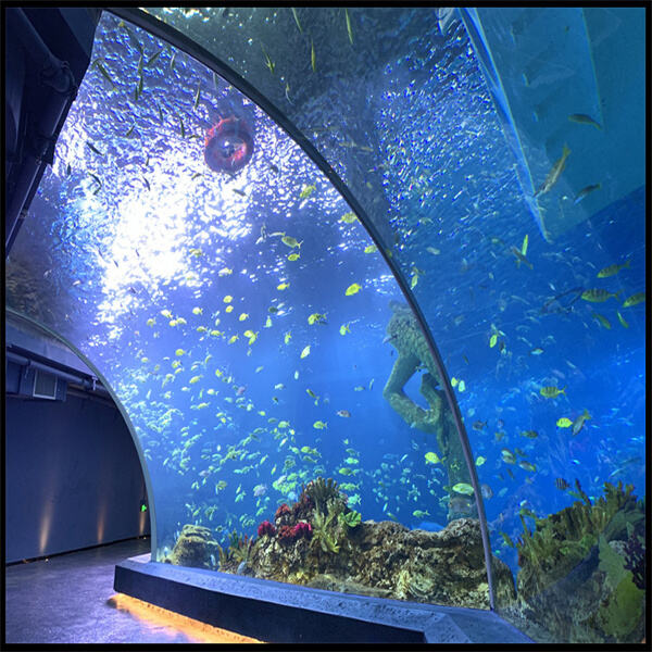 Acrylic round aquariums