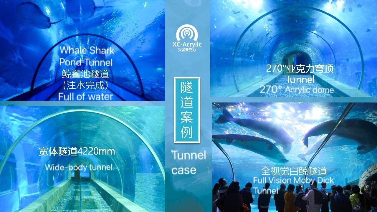 2024 acrylic manufacturer for acrylic aquarium acrylic fish tank tunnel manufacture