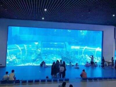 Indywidualne akrylowe akwaria muszą uwzględniać pełzanie pod stałym ciśnieniem wody