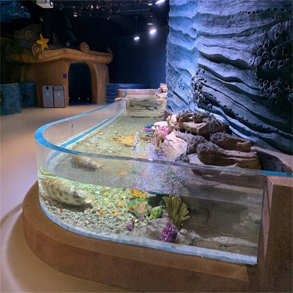 Types of Customization for Unusual Aquariums