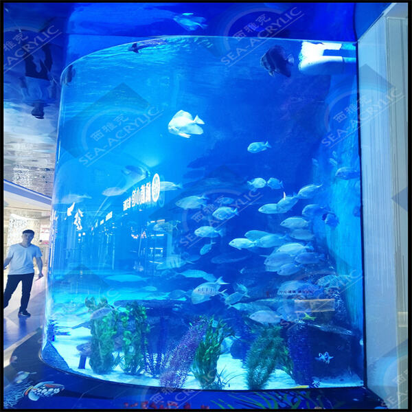 Keeping Your Acrylic Aquarium Tank in Top Condition: Quick Maintenance Tips