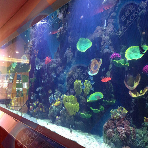 Create a modern and sleek look with an acrylic square fish tank.