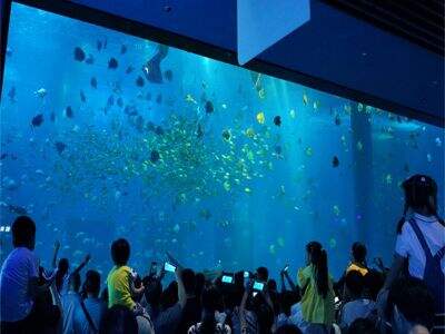 Tangki Akrilik Silinder Meningkatkan Sirkulasi Air untuk Kehidupan Laut