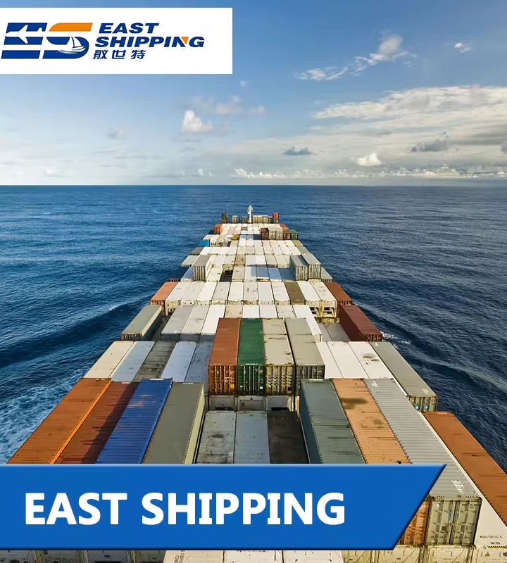 Experience the Difference with DDP Shipping by East Shipping