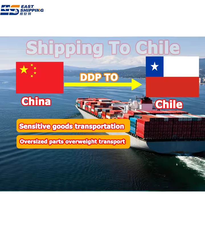 Chinese Freight Forwarders Embrace Sustainable Shipping Practices