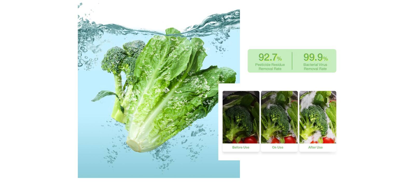 XCJ146 Vegetable Washer Manufacturer supplier