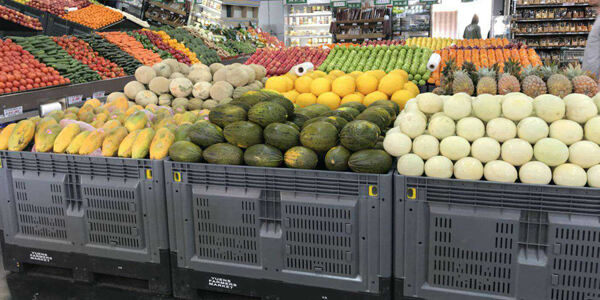 1200x1000x810mm hdpe gjord vikbar plastlådpall för frukt- och grönsaksfabriken