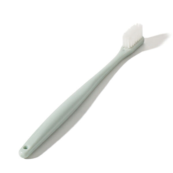 Safety of Plastic Hotel Toothbrush