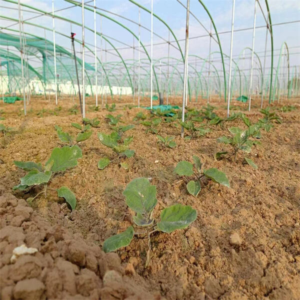 Udržateľné techniky a materiály na výrobu sklenených vlákien pre zelenšiu budúcnosť