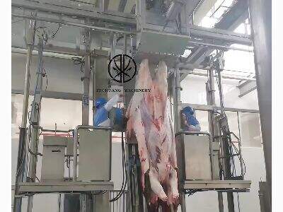 Cattle Slaughterhouse Equipment: Enhancing Productivity and Animal Welfare