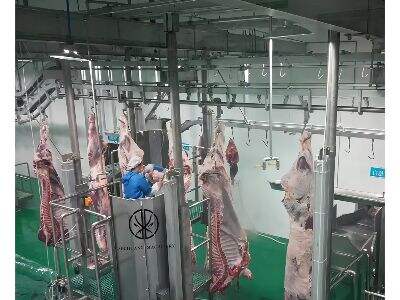 What You Need to Know About Halal Slaughterhouse Equipment and Technology