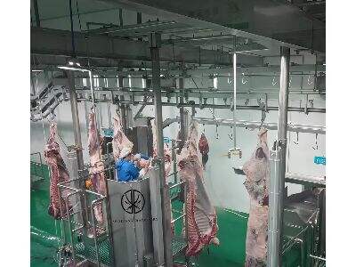 The Future of Cattle Slaughterhouses: Advanced Equipment for Better Processing