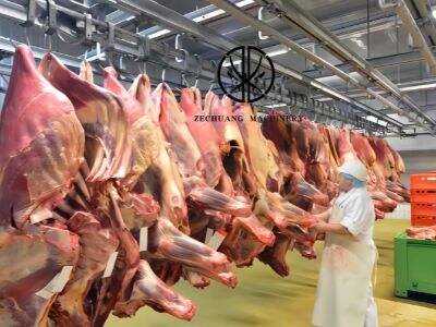 The Role of Cow Slaughterhouses in Global Food Security