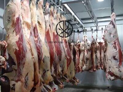 The Ultimate Guide to Understanding Cow Slaughterhouse Operations