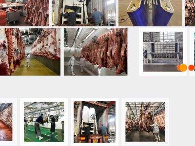 Top Halal Slaughterhouse Equipment: Ensuring Compliance and Efficiency