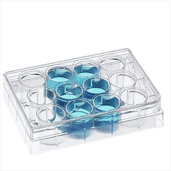 Tissue Culture Plates - The Essential Component for In Vitro Tissue Growth