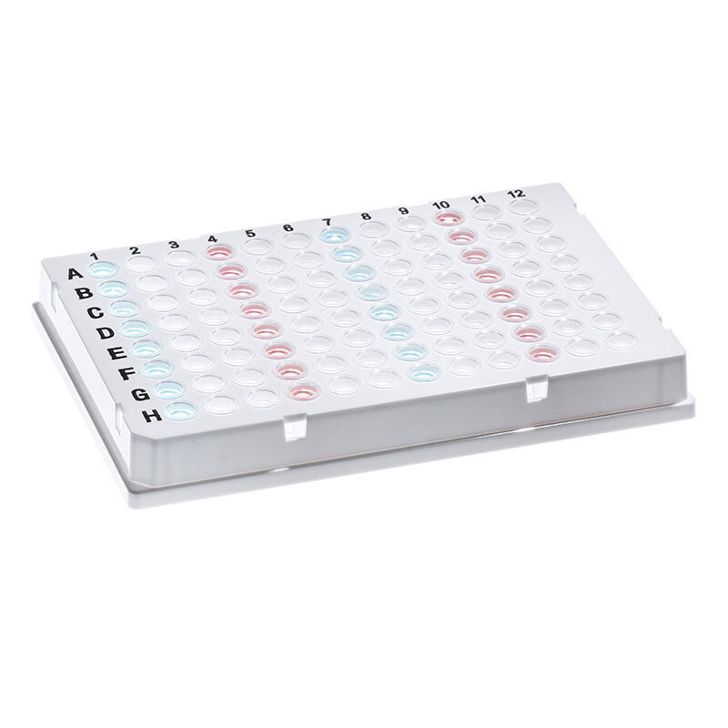 CellProBio 96 brunns halvkjolar PCR-platta