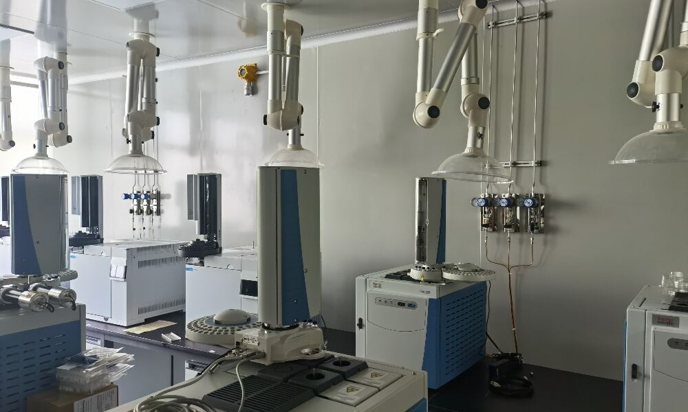 Laboratory Gas Pipeline System-1