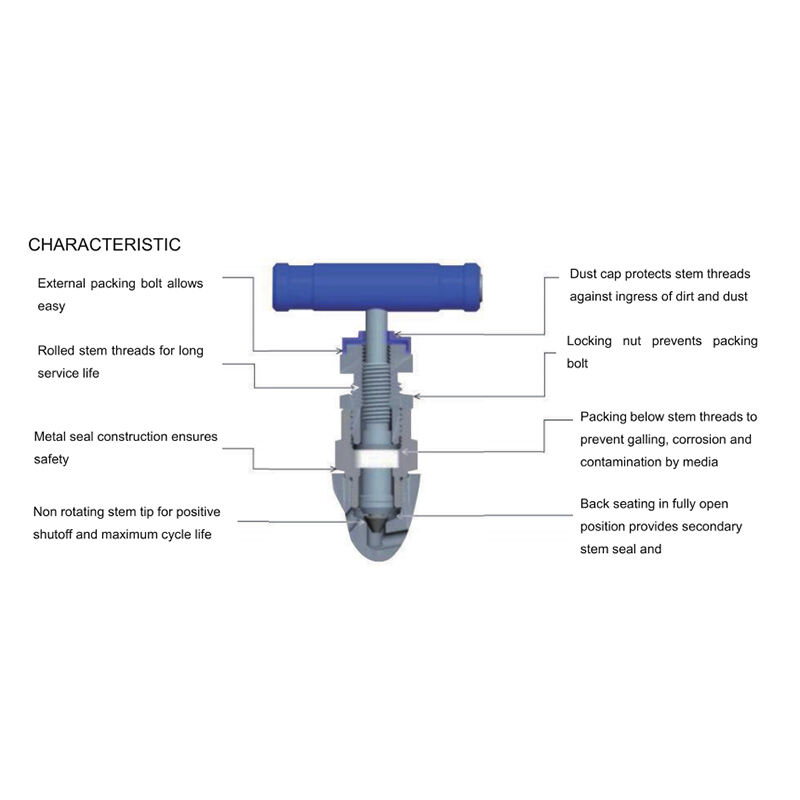 Working principle of needle valve