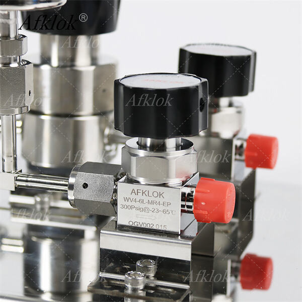 Đo Lường và Điều Chỉnh Áp Suất Oxy Dễ Dàng với Đồng Hồ của Chúng Tôi